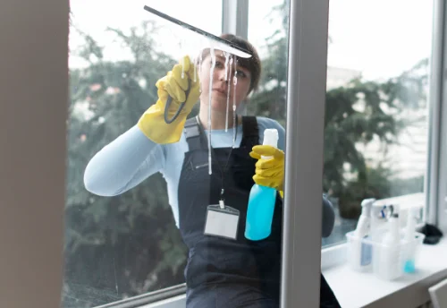 Nettoyage de vitres intérieures et extérieures à Larreule